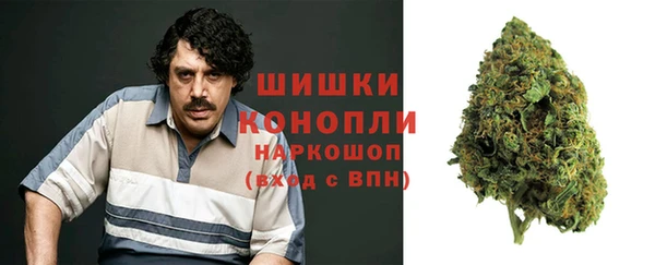 apvp Карпинск